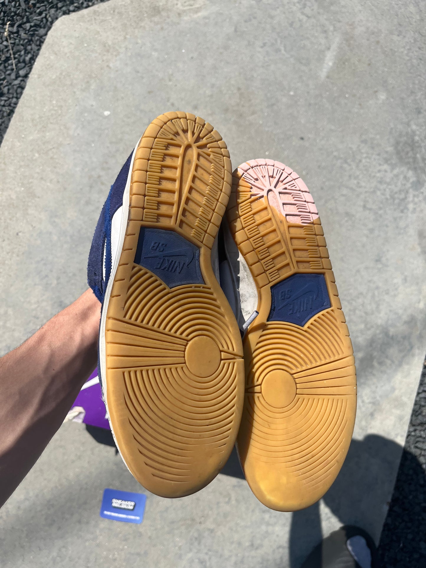 Dunk low SB dodger | 42