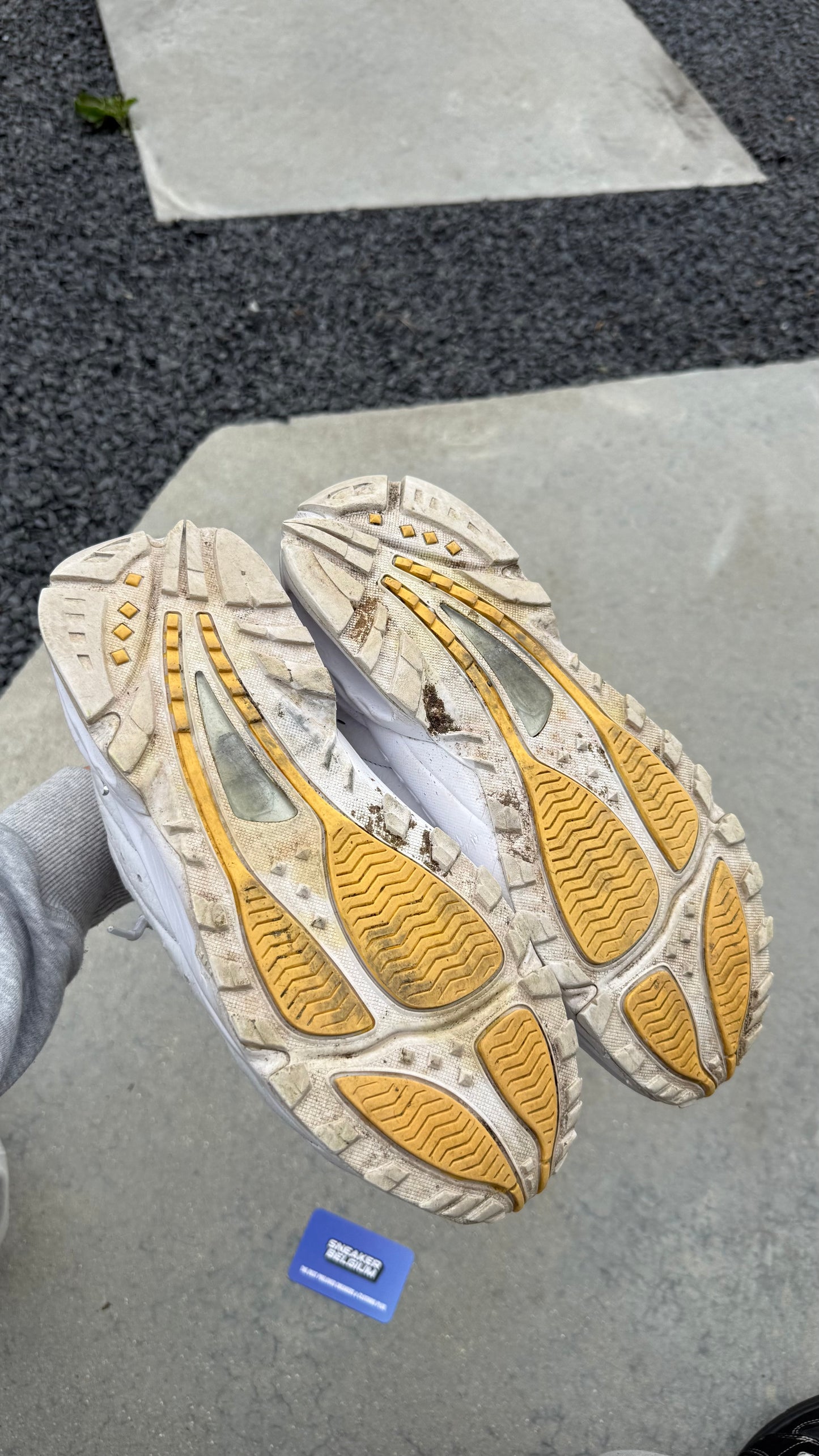 Nocta terra white | 43