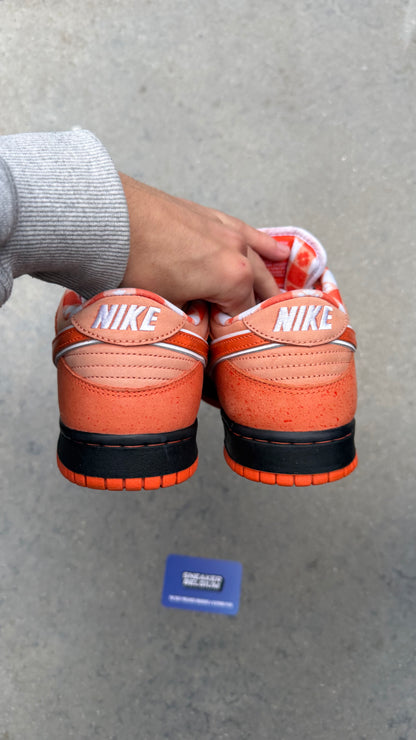 Dunk low SB orange lobster | 42,5