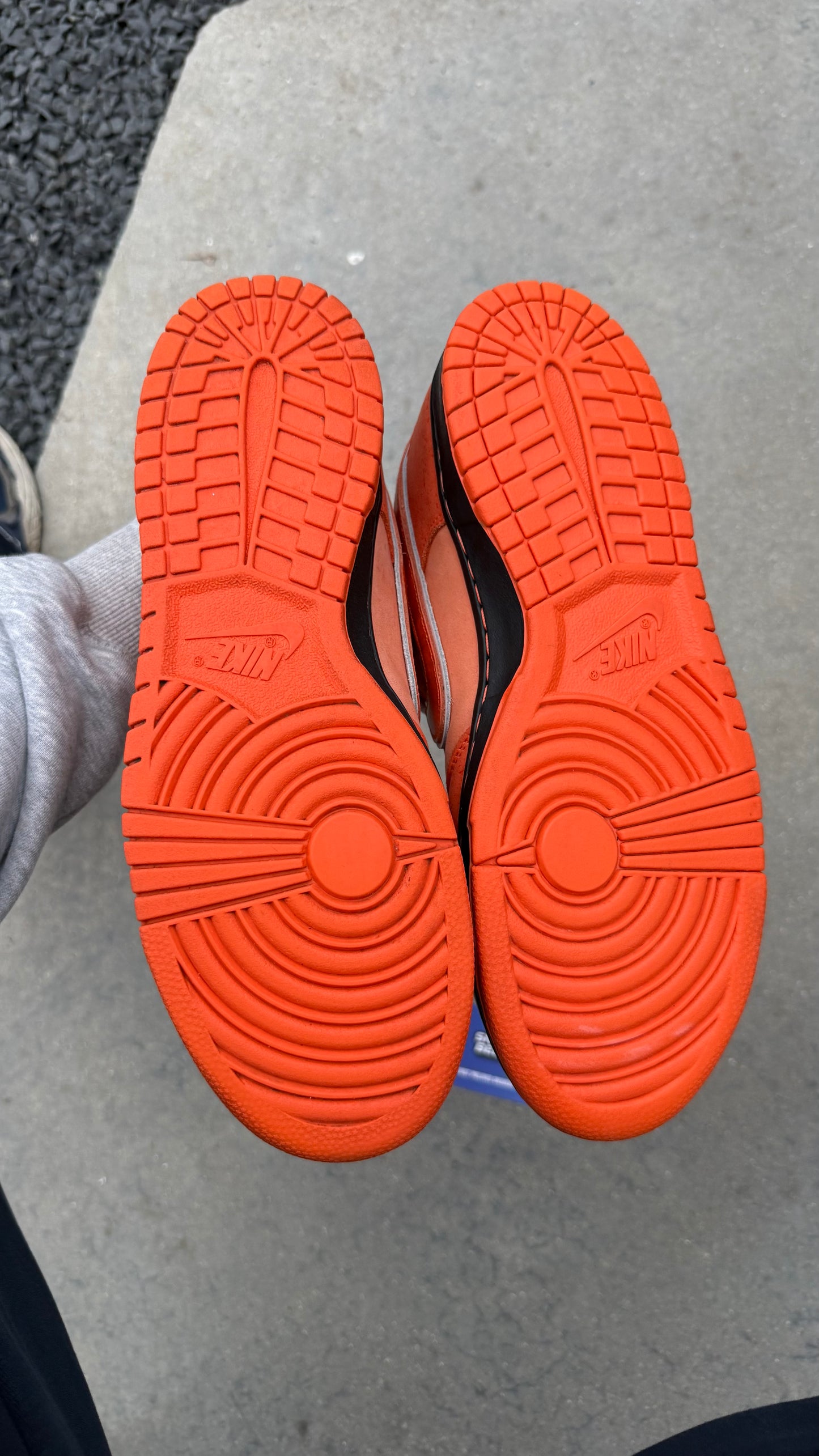 Dunk low SB orange lobster | 42,5