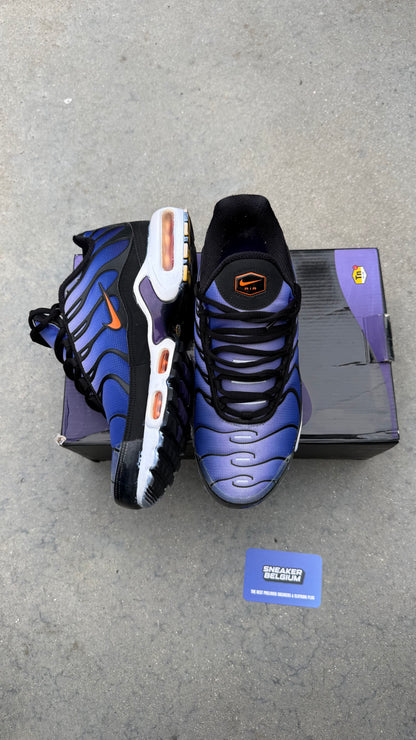 Air Max TN purple 2018 | 43