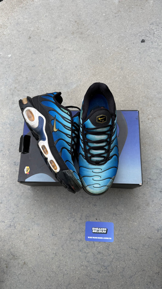 Air Max tn true blue 2018 | 42