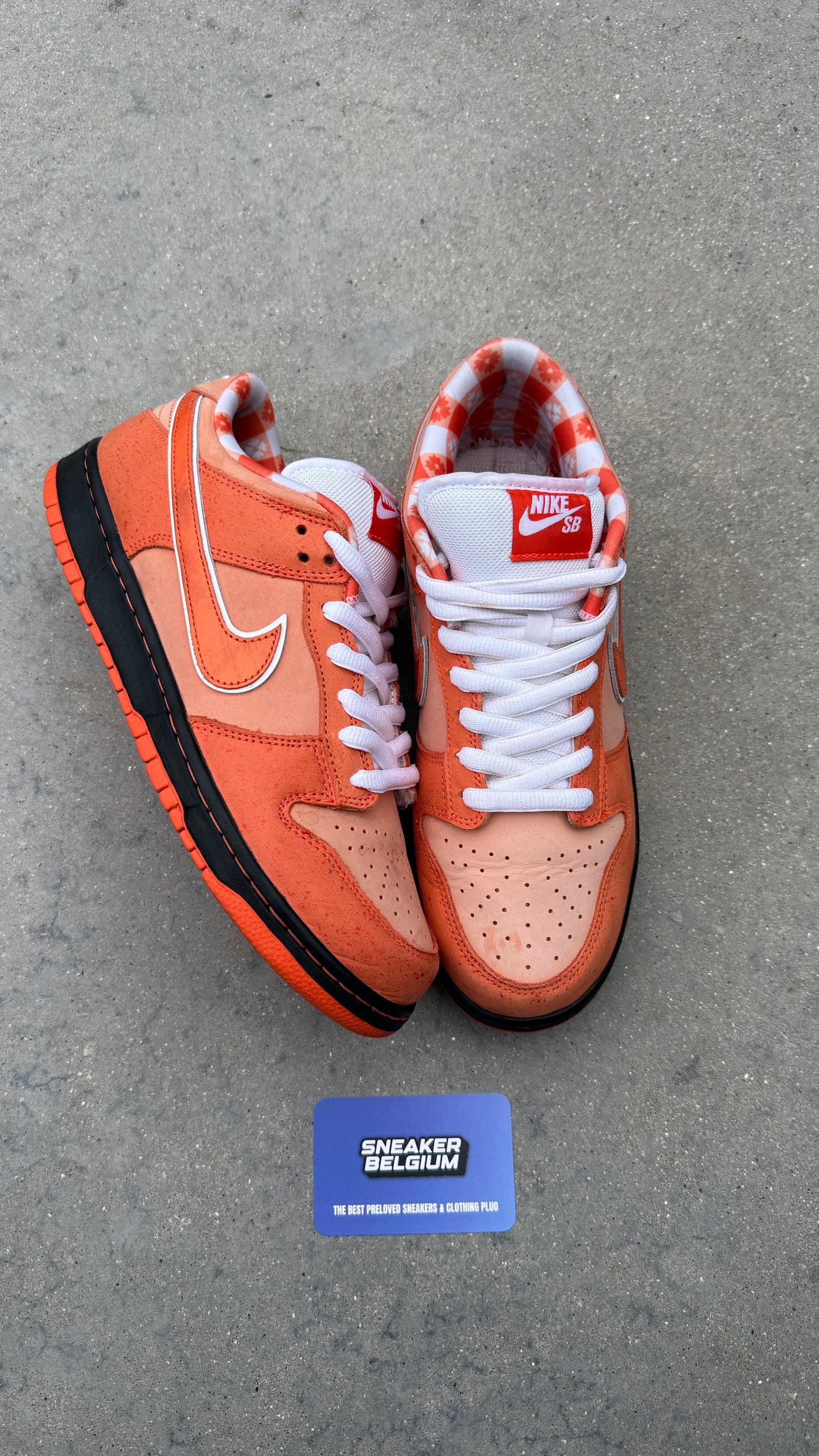 Dunk low SB orange lobster | 42,5