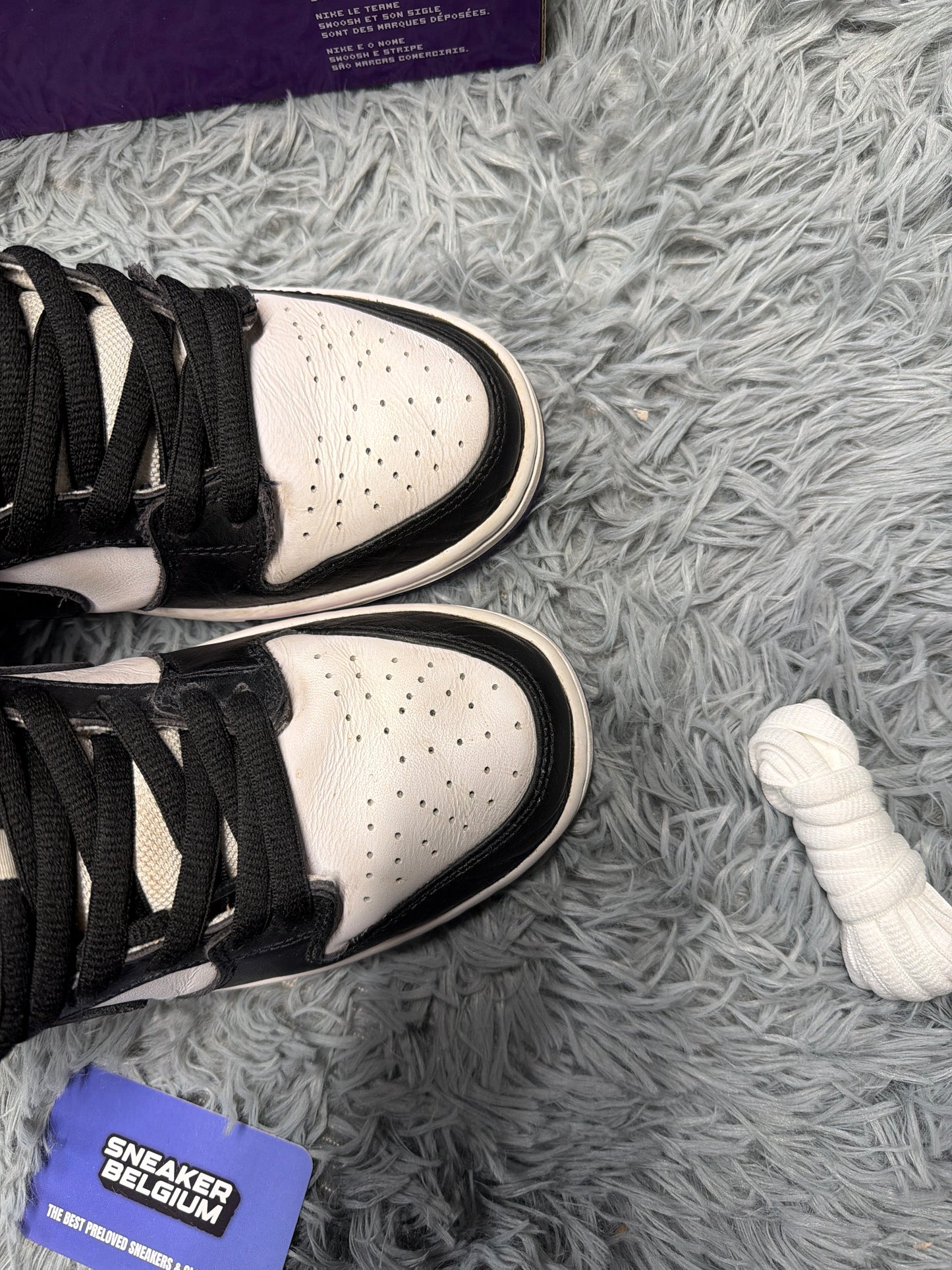 Dunk low SB “court purple” / size 43 / Pre-Loved