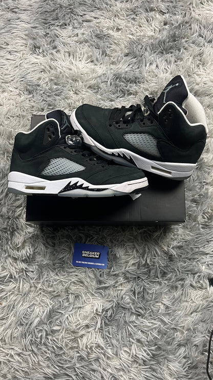 Jordan 5 moonlight | 40,5