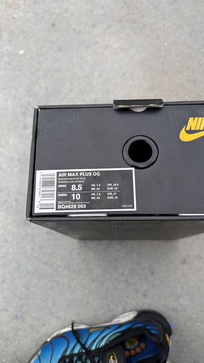 Air Max tn true blue 2018 | 42