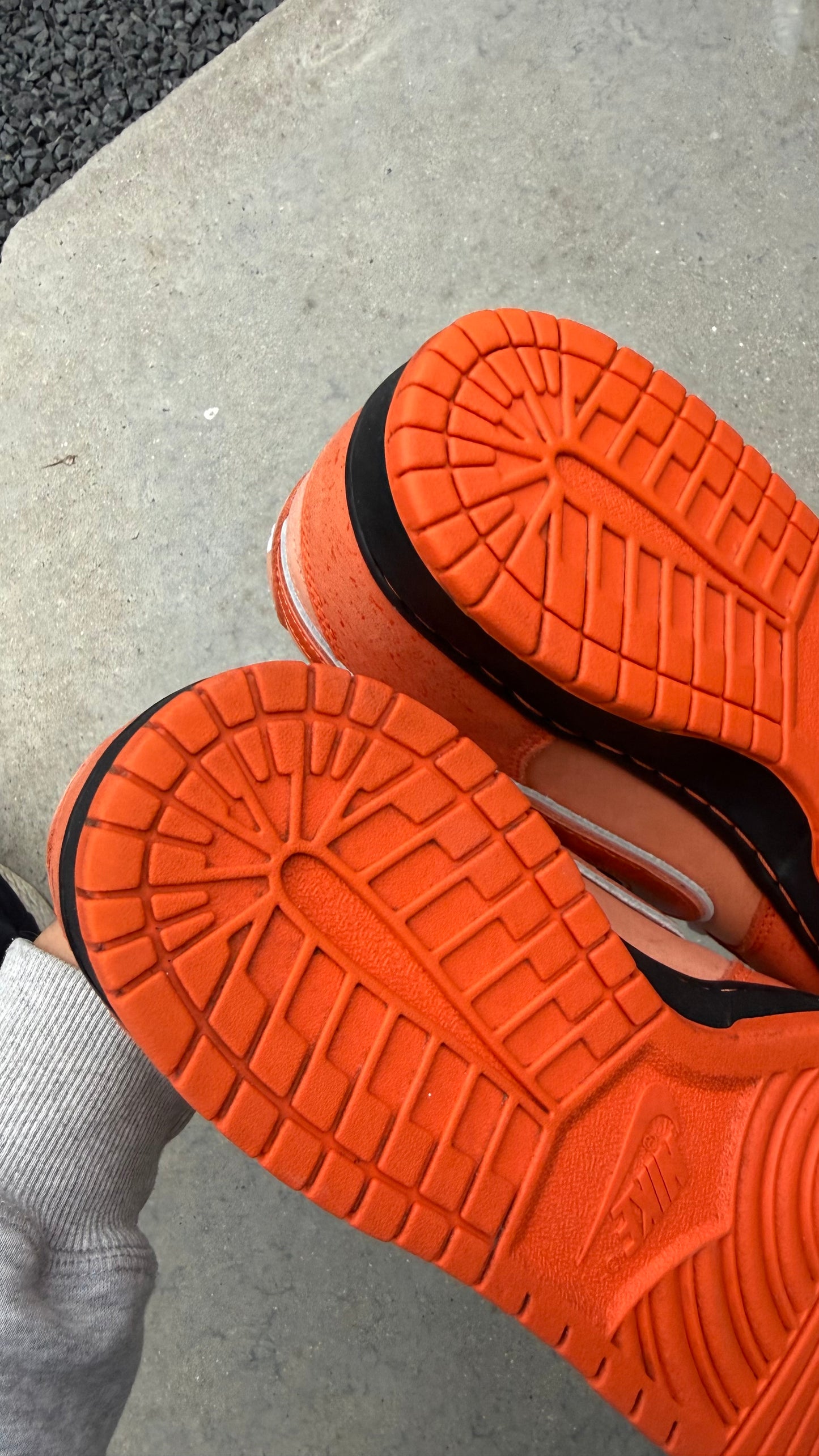 Dunk low SB orange lobster | 42,5