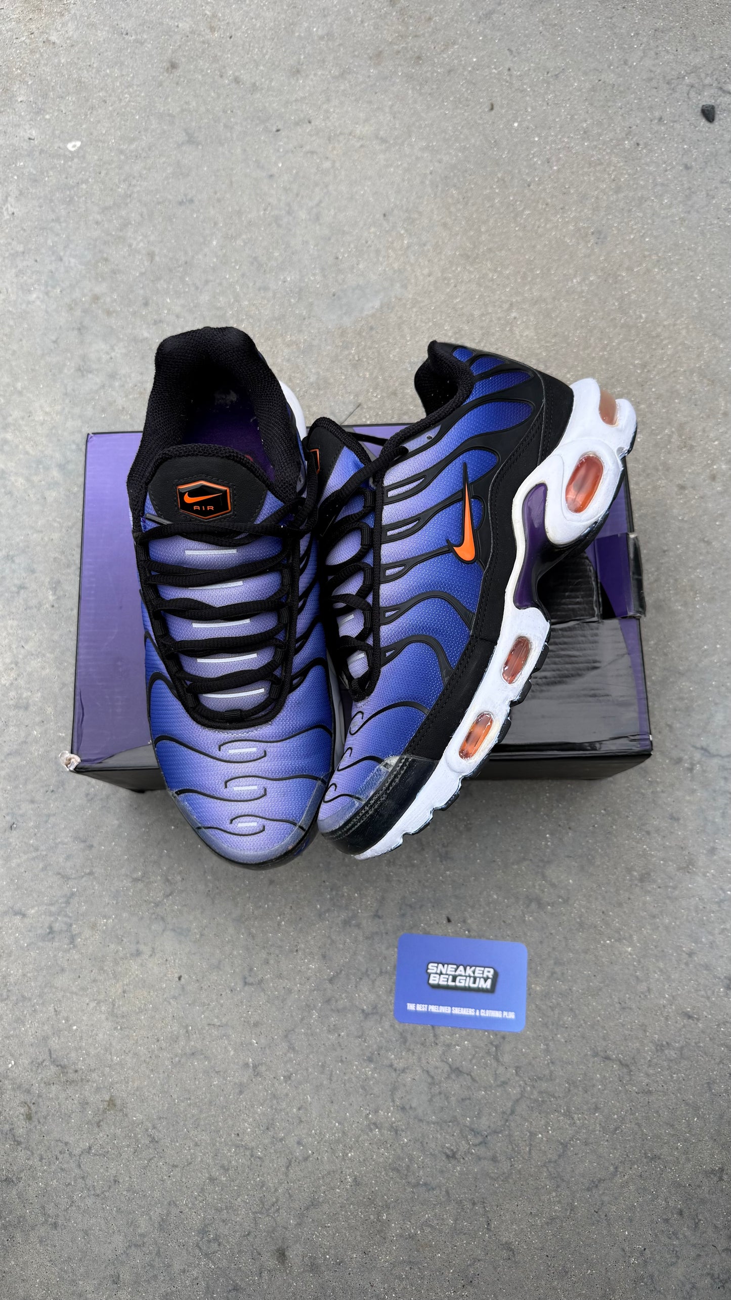 Air Max TN purple 2018 | 43