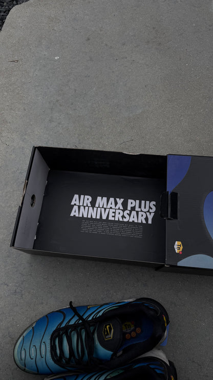 Air Max tn true blue 2018 | 42