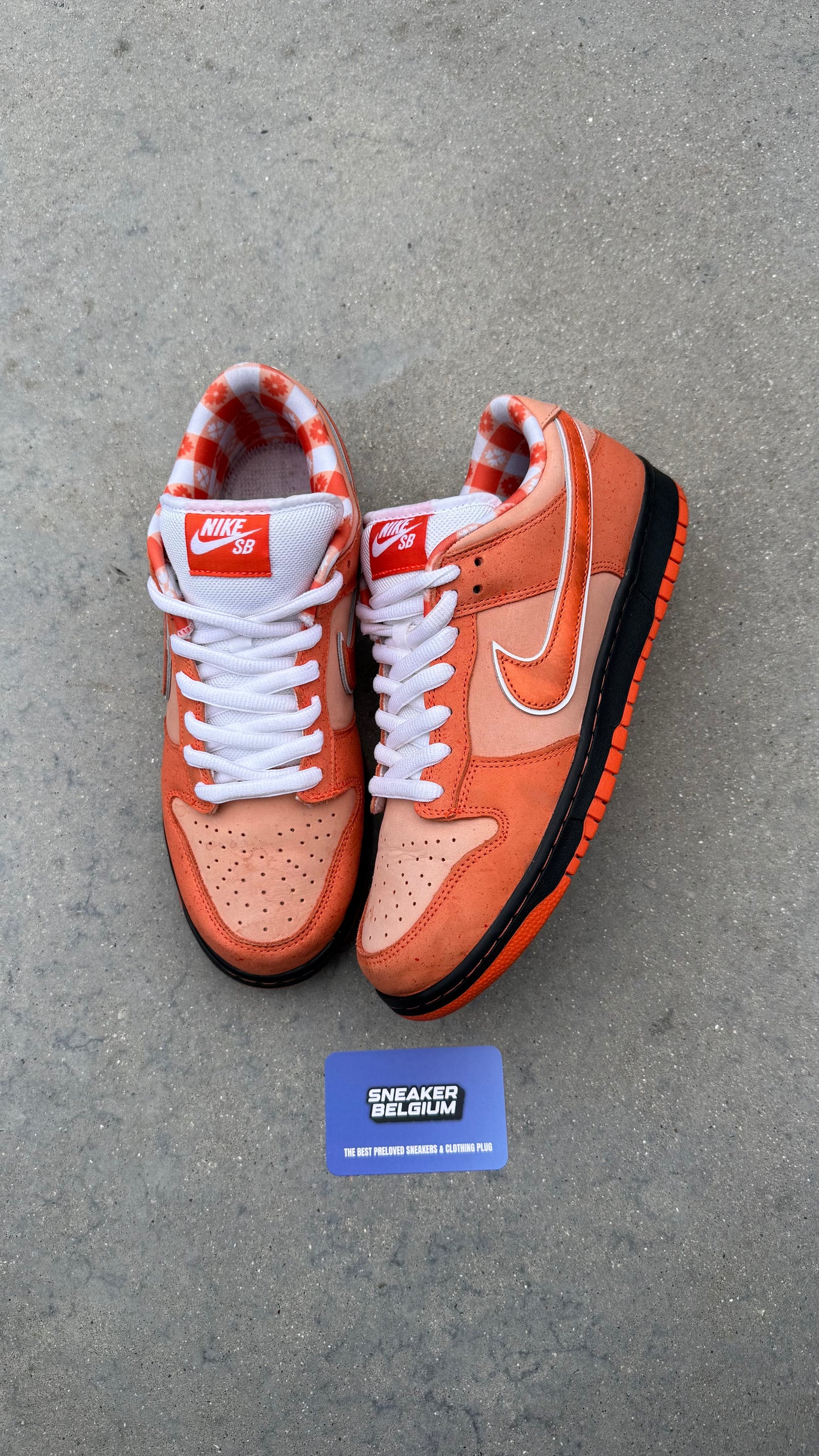 Dunk low SB orange lobster | 42,5