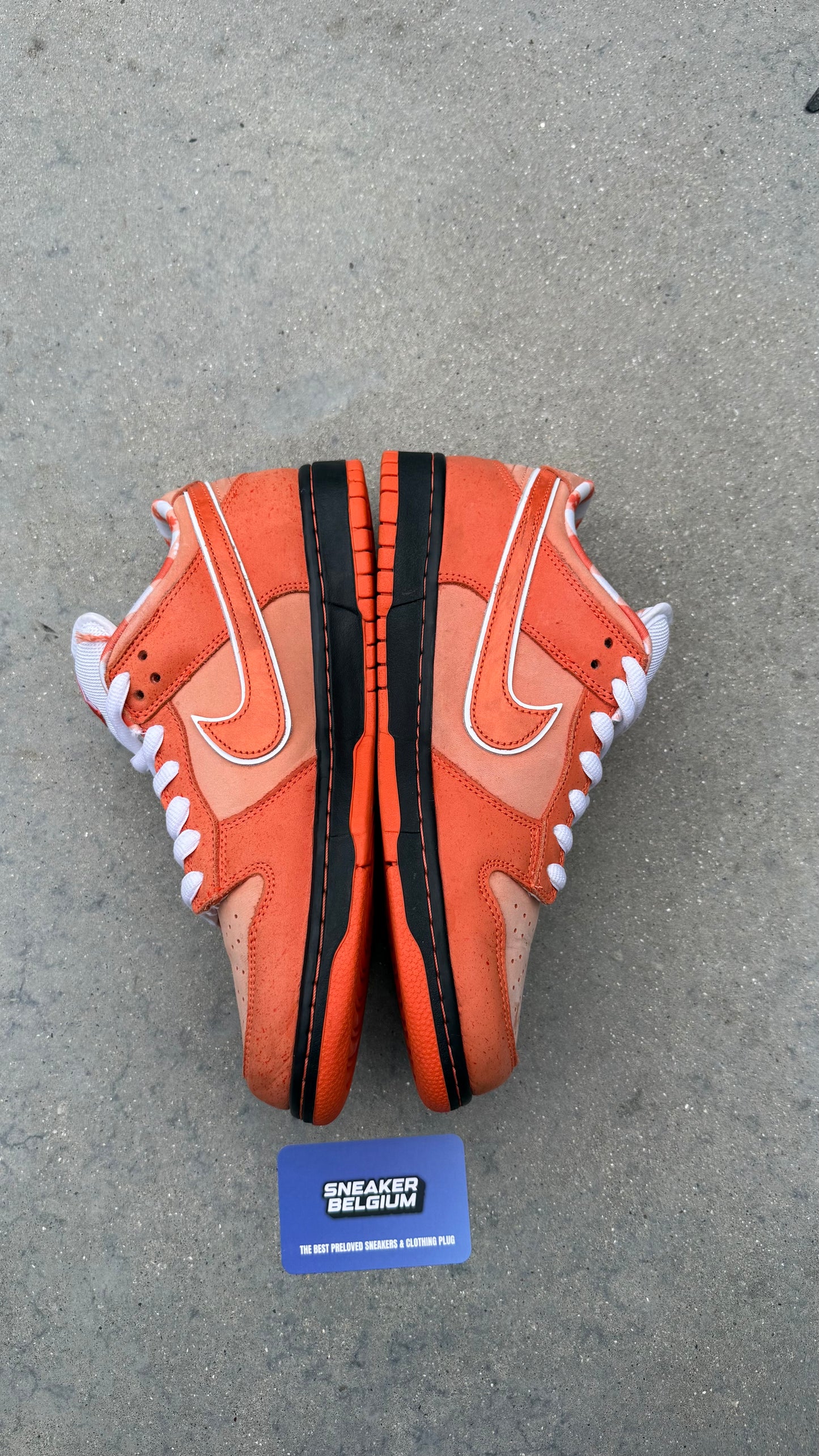 Dunk low SB orange lobster | 42,5