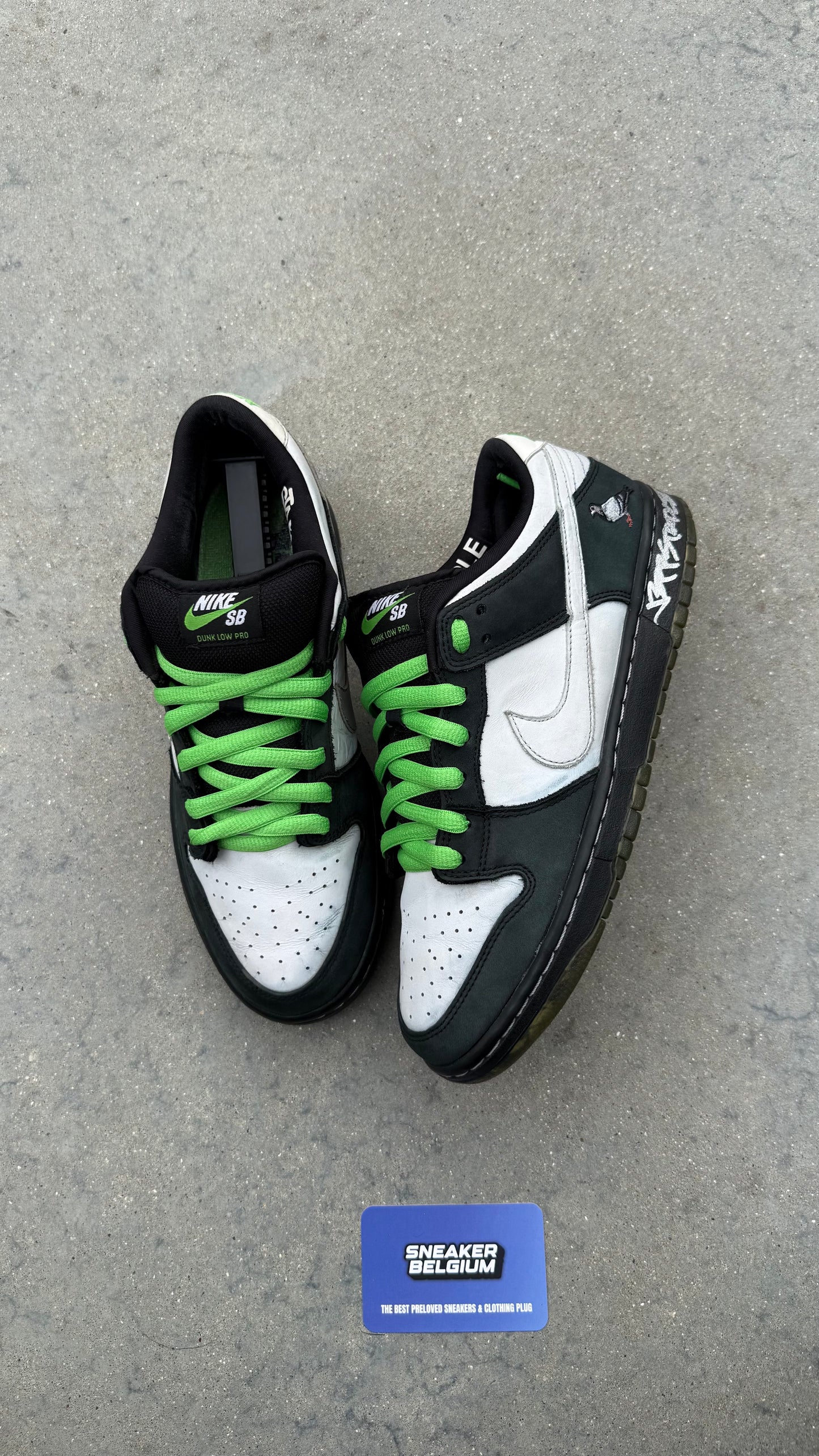 Dunk low SB pidgeon | 42,5