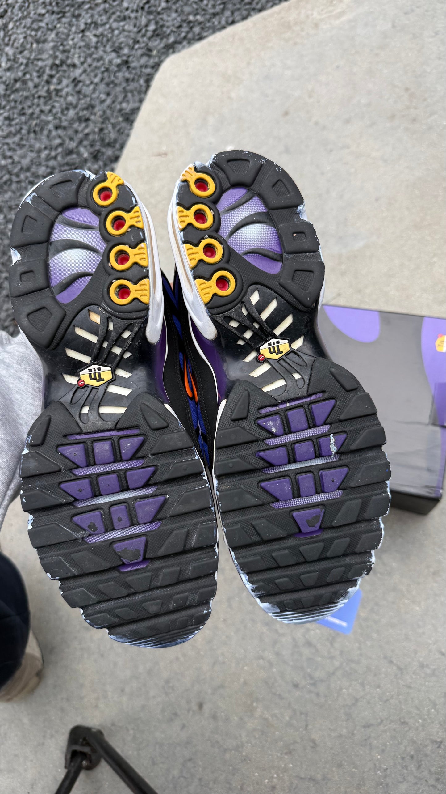 Air Max TN purple 2018 | 43