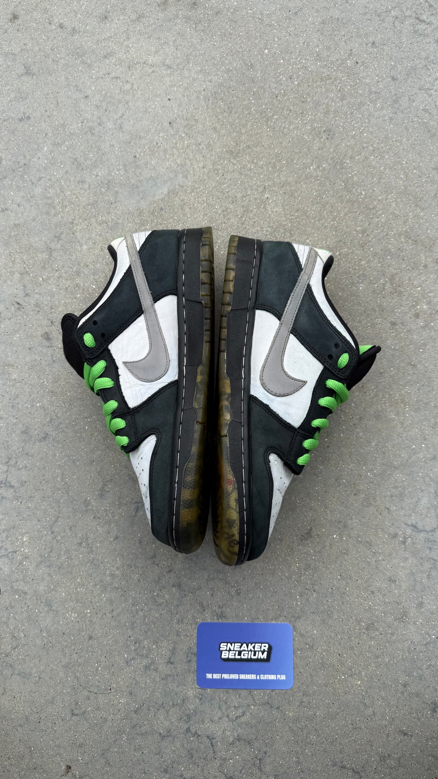 Dunk low SB pidgeon | 42,5