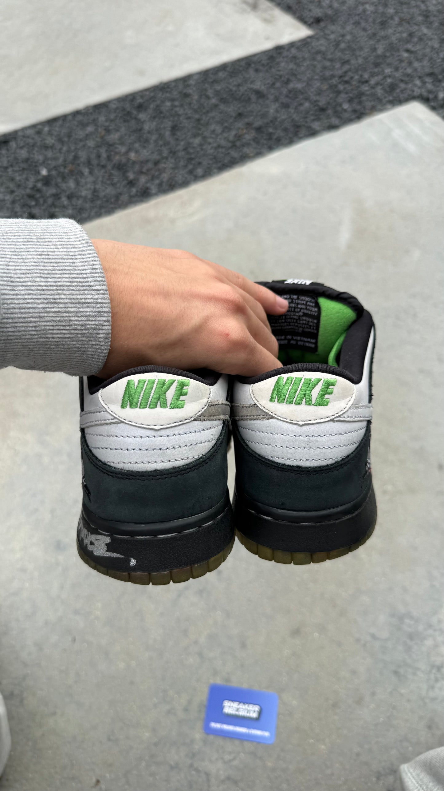 Dunk low SB pidgeon | 42,5