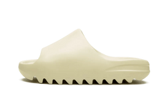 Bone